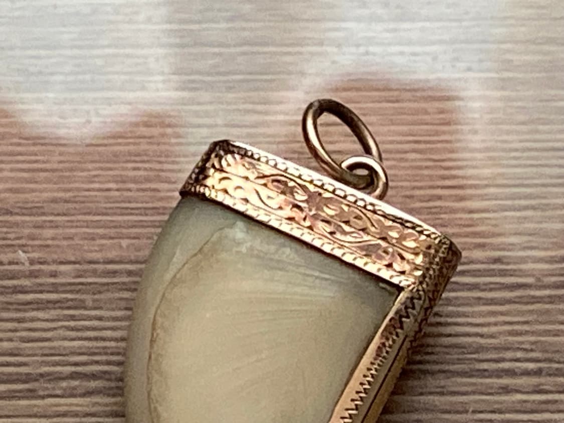 타이거 클로 18k 펜던트 목걸이 판매합니다. 상품이미지3