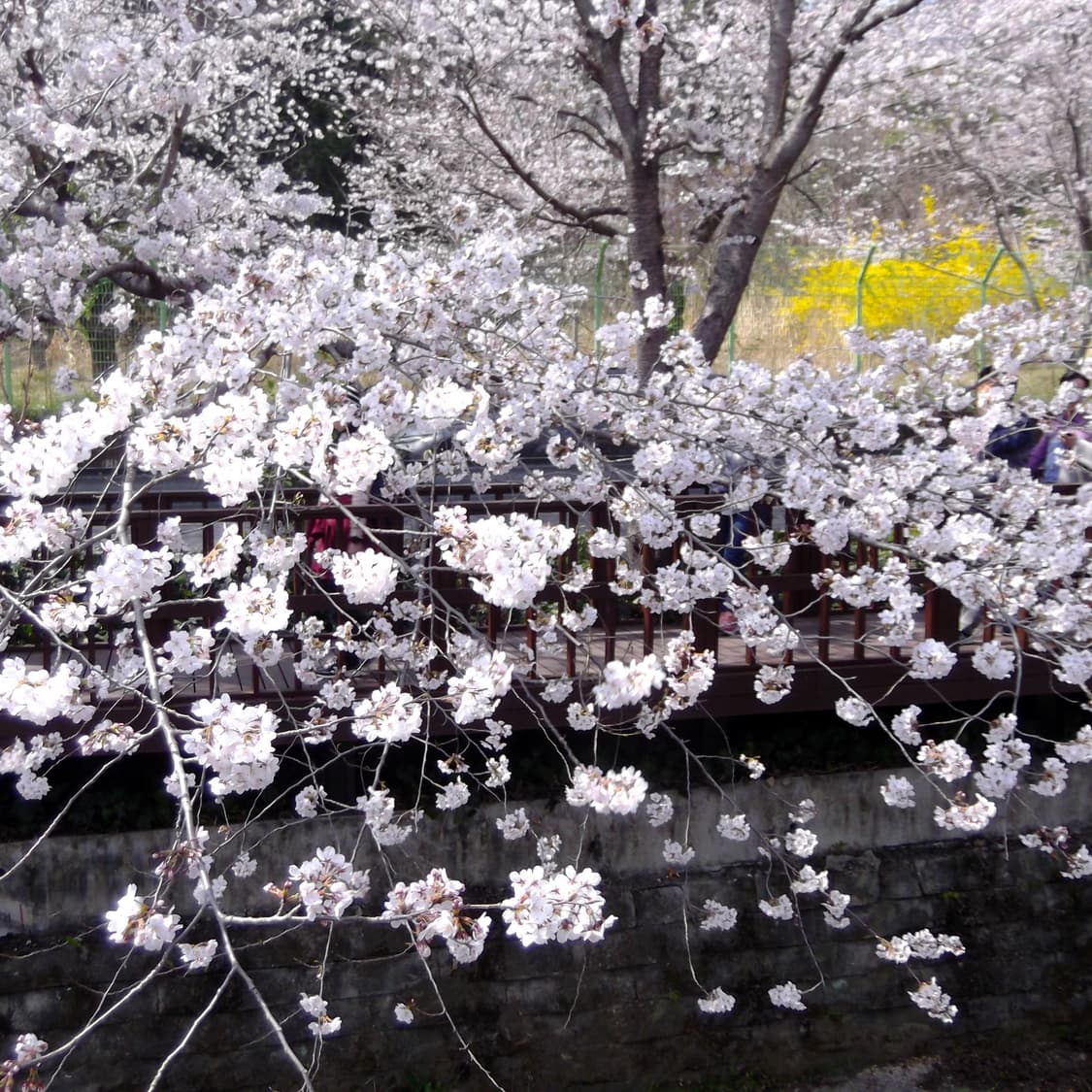 후지필름 파인픽스 T300 풀박스(작례o) 상품이미지6