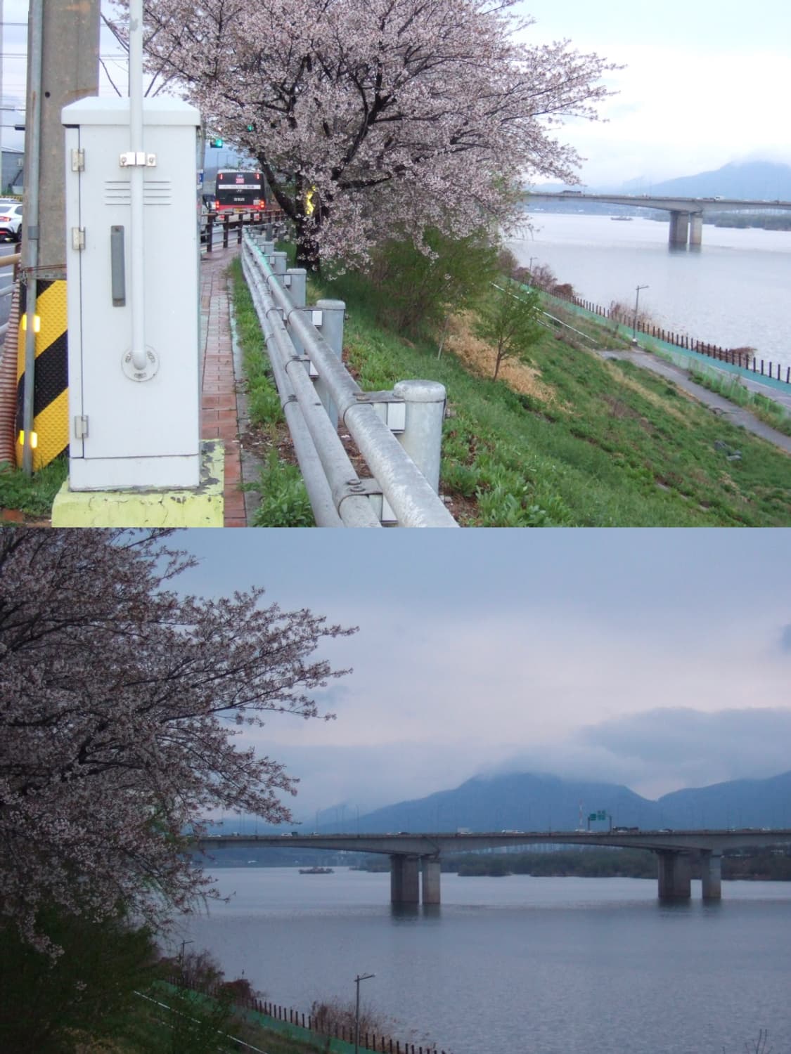 🎐 후지필름 파인픽스 F10 🎐 빈티지 디카 상품이미지9