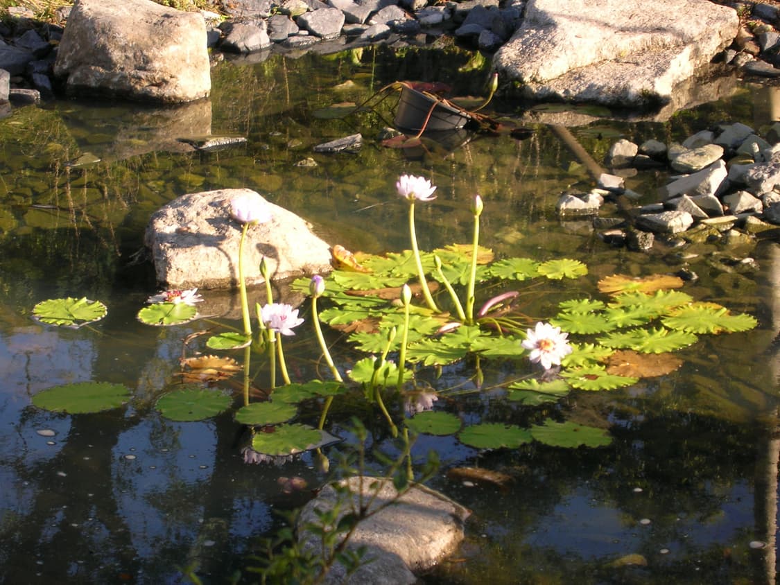 니콘 쿨픽스 5600 상품이미지7