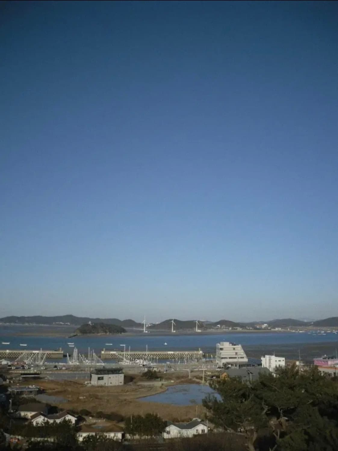 삼성 케녹스 #1  디지털 카메라 (( 작례 상품이미지7