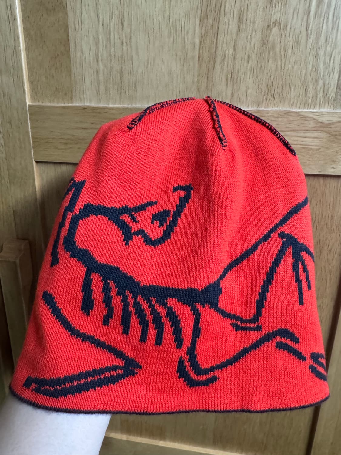 아크테릭스 라이트헤드 버드 헤드토크 상품이미지4