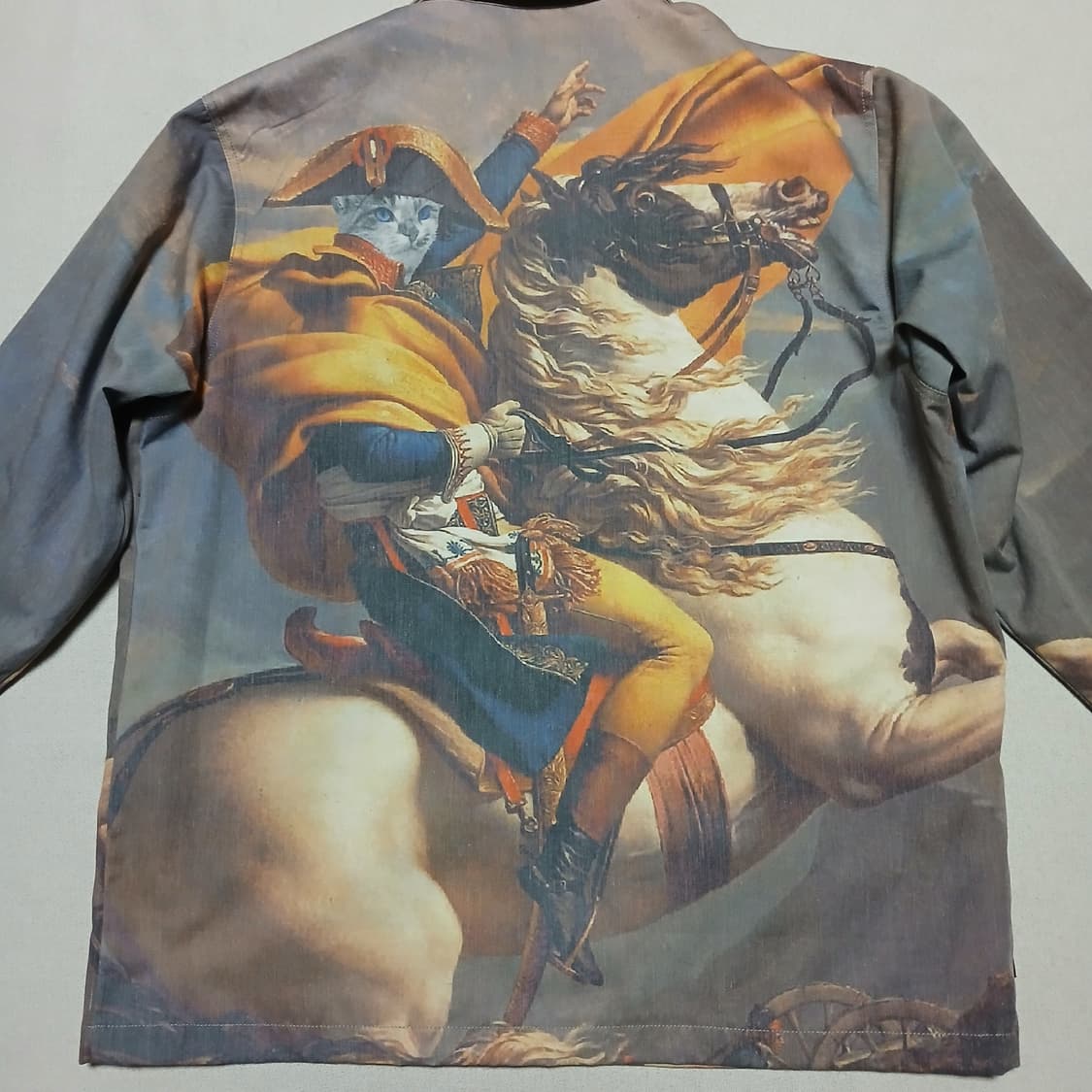 ripndip 립앤딥 욕하는 고양이 나폴레옹 코치자켓 상품이미지1