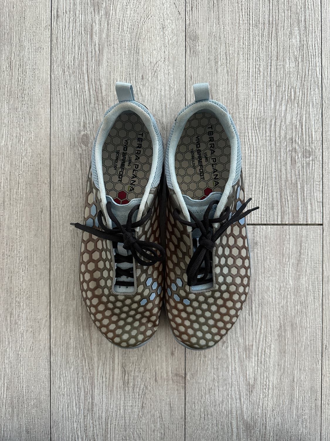 Vivobarefoot Evo II by Terra Plana 상품이미지1