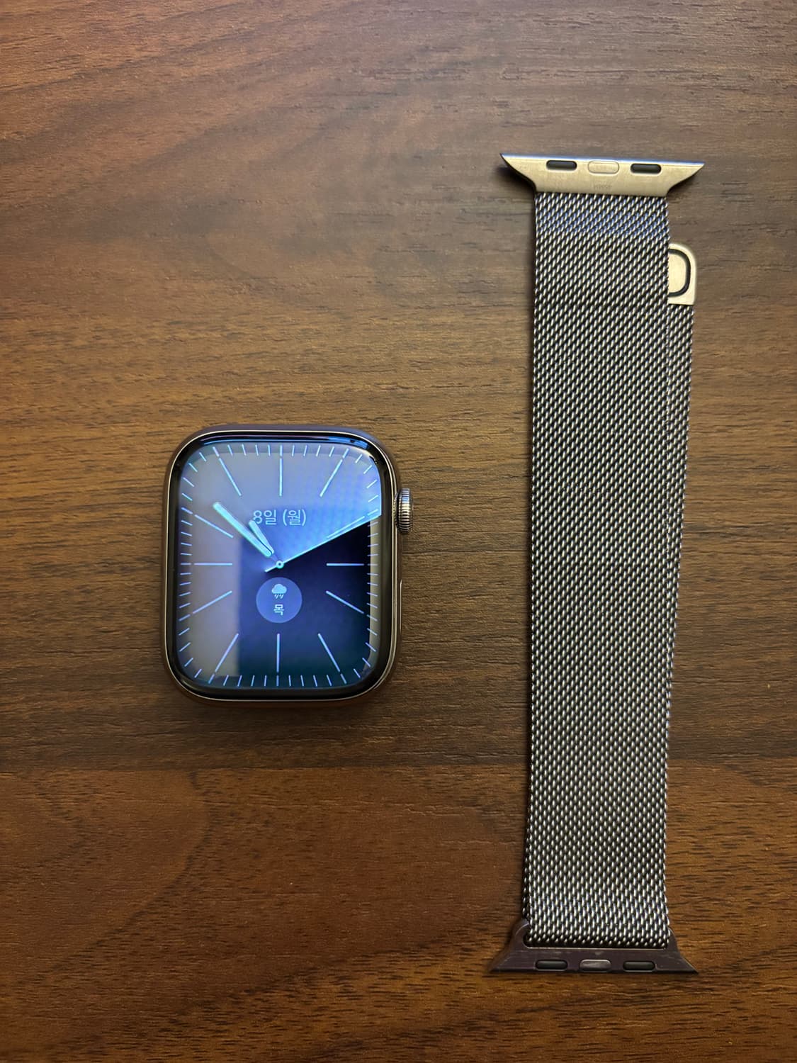 애플워치8 45mm 셀룰러 실버 스테인리스 상품이미지1