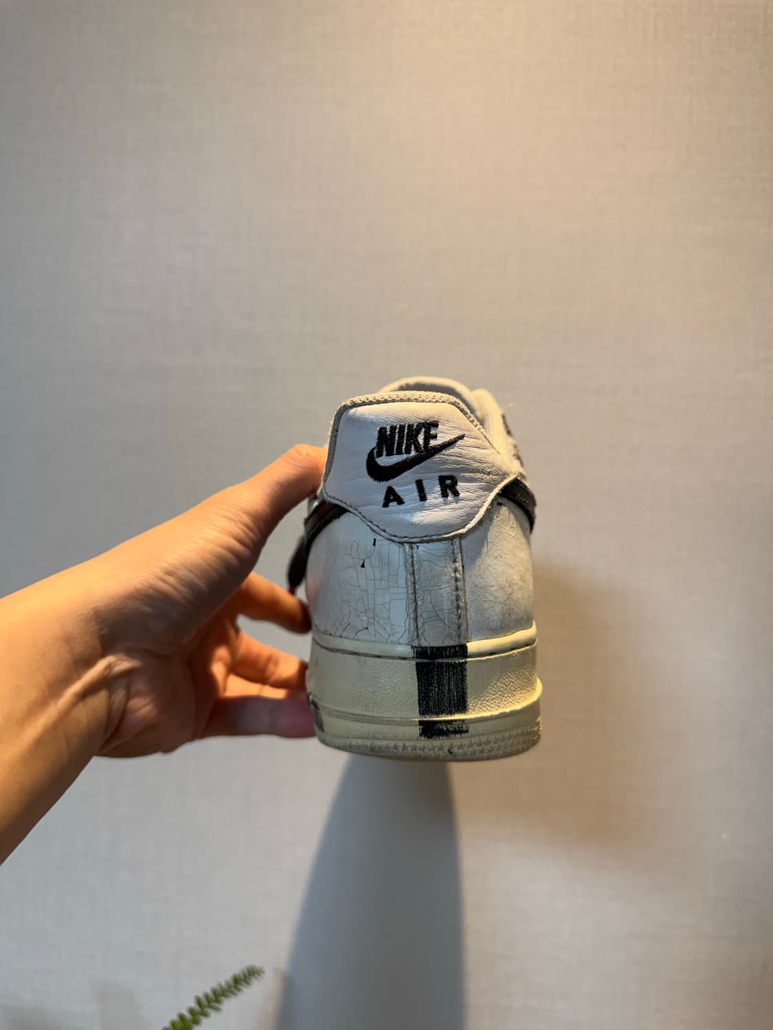 [270]피마원 2.0  상품이미지8