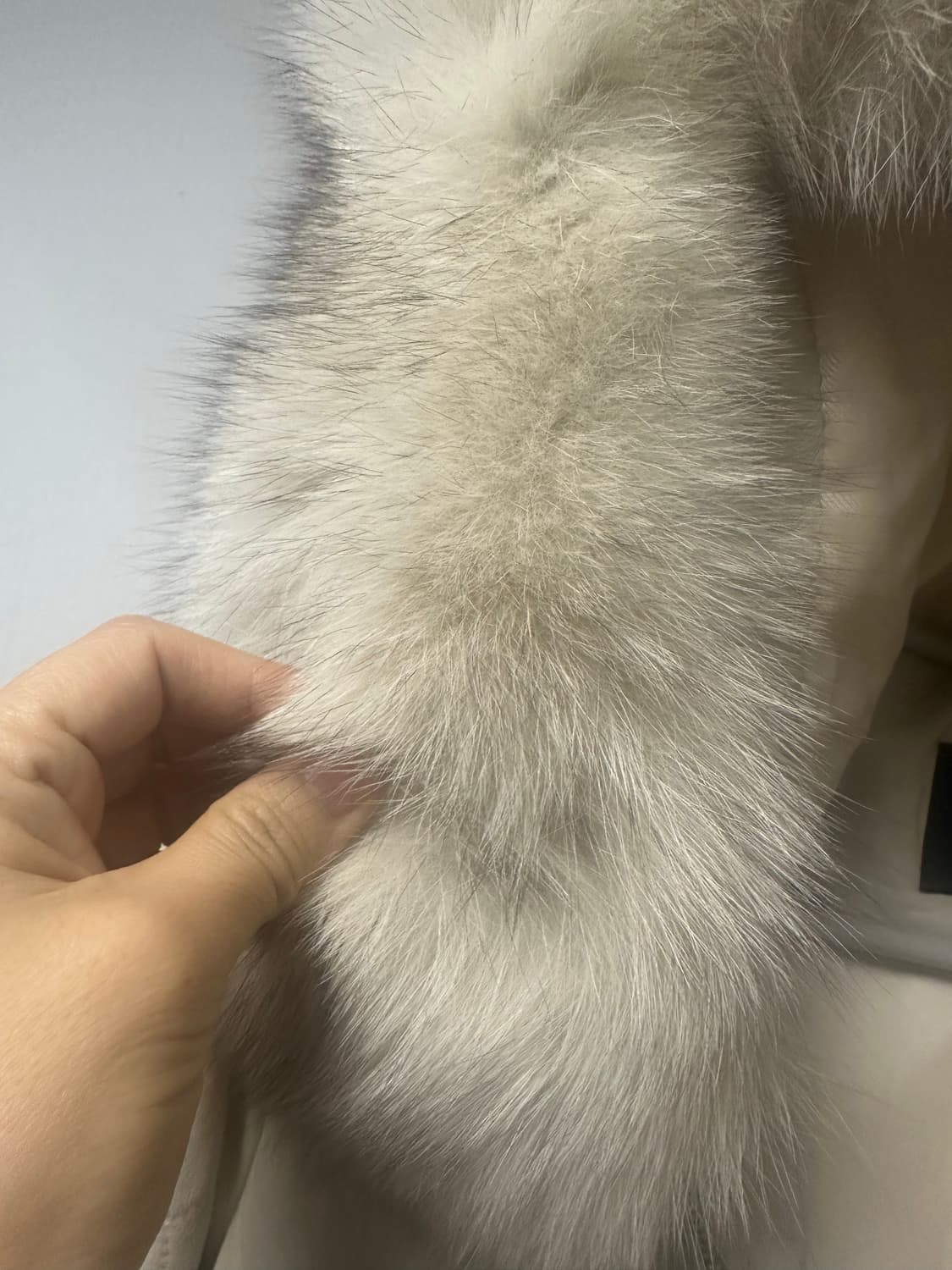 안나수이   구스다운  폭스퍼  양가죽  자켓-S사이즈 상품이미지5