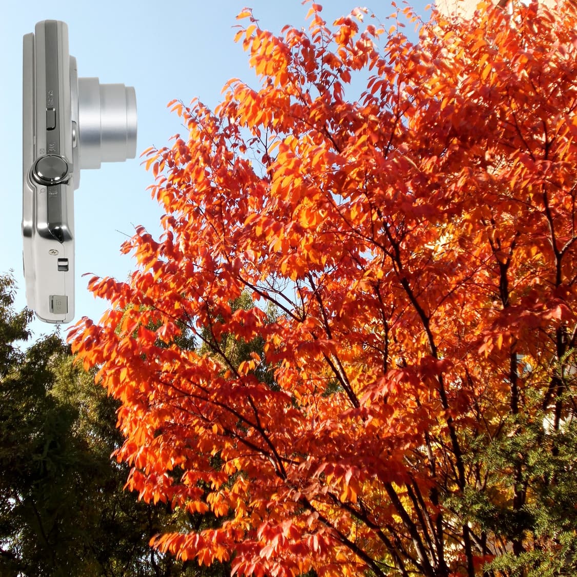 Exilim zs-10 (✨민트급/풀세트) 상품이미지8