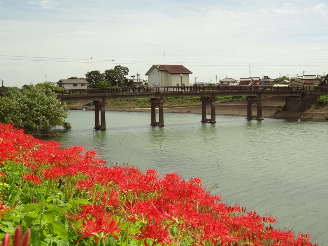 (색감/감성) 소니 sony 사이버샷 DSC-WX7 디카 디지털카메라 상품이미지6