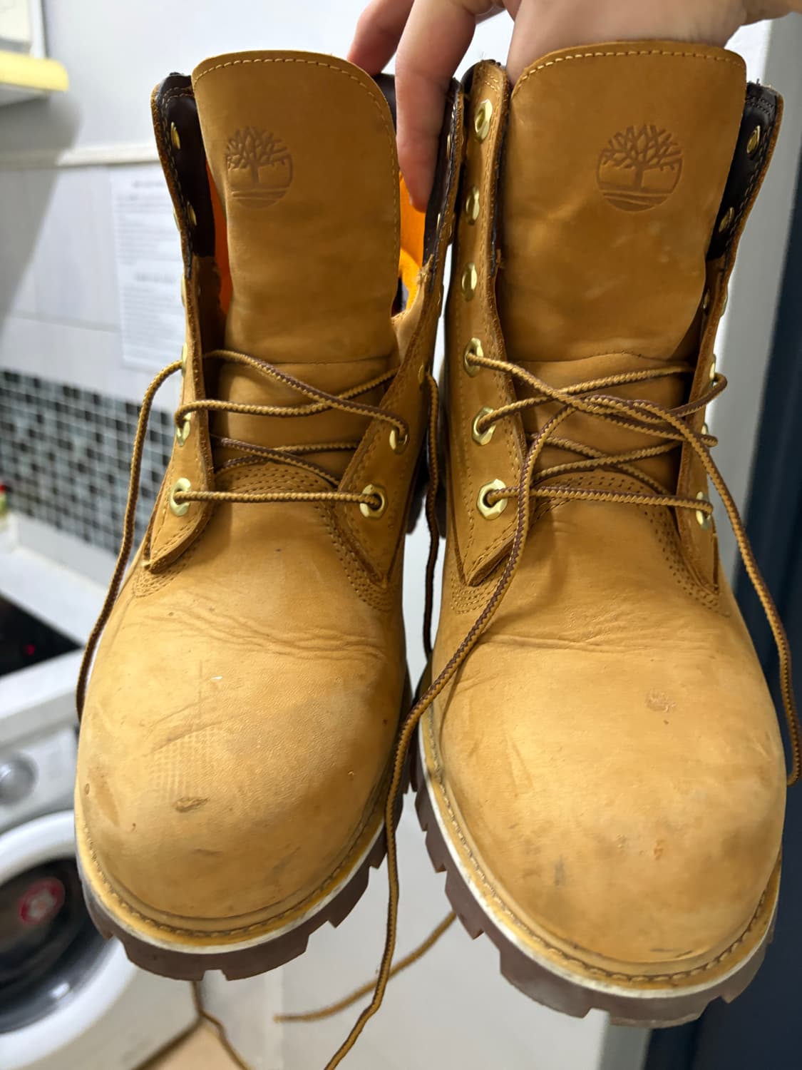 팀버랜드 코랄  상품이미지1