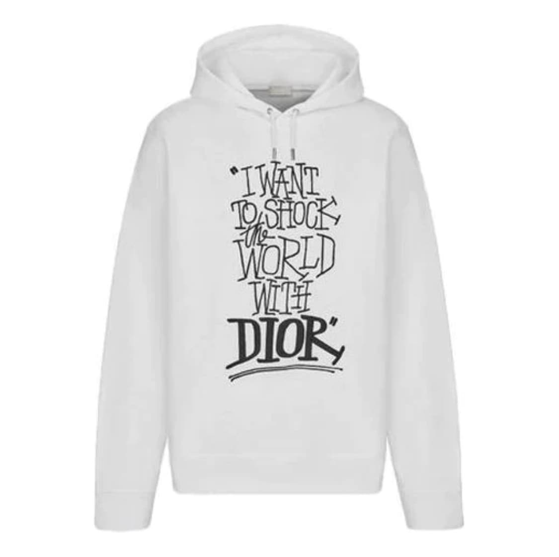 [XL] 디올 x 숀 스투시 남성 월드위드 후드 티셔츠 상품이미지1