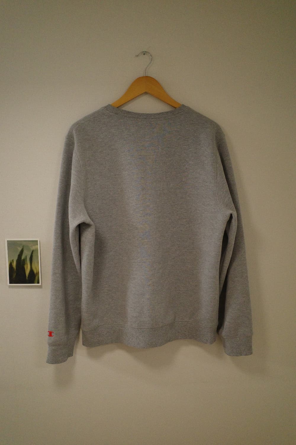 챔피온 맨투맨 L 상품이미지2