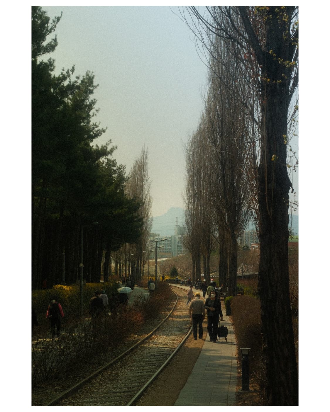 후지필름 X100VI 블랙 (Fuji Film X100VI Black) 상품이미지8