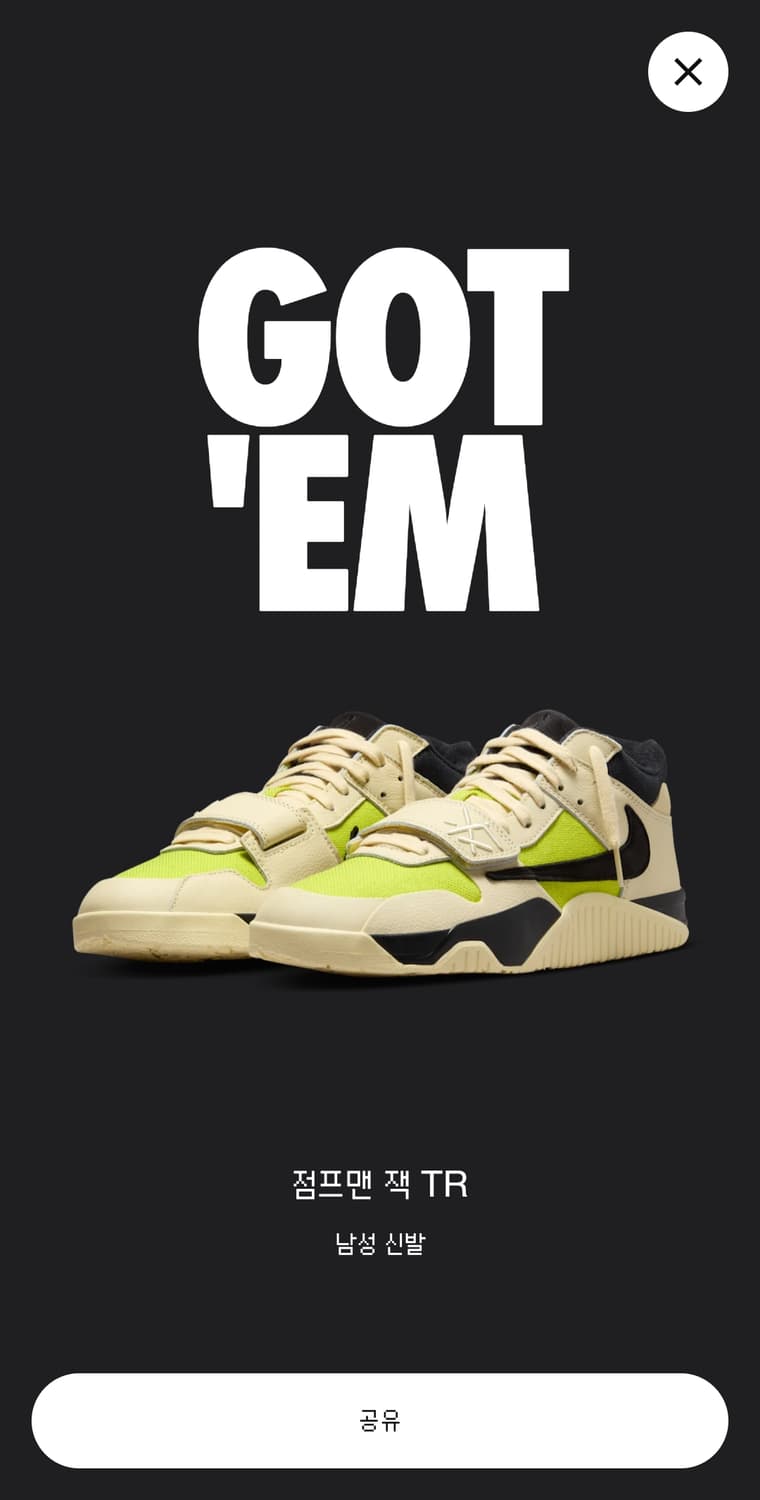 나이키 점프맨 잭 TR 브라이트 캑터스 275 새상품 상품이미지1