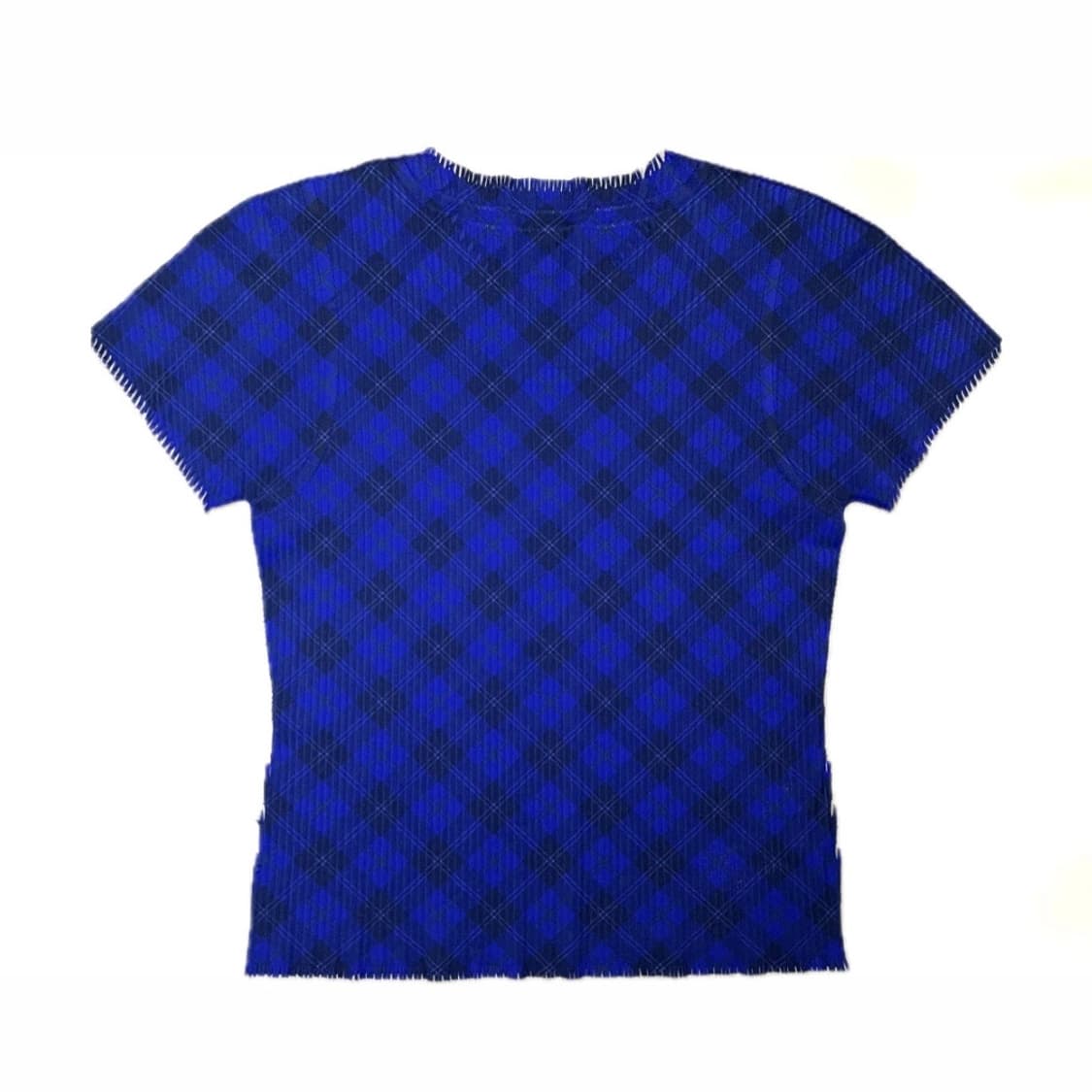 [3] 이세이미야케 플리츠플리즈 a.poc 블루 체크 반팔 티셔츠 상품이미지4