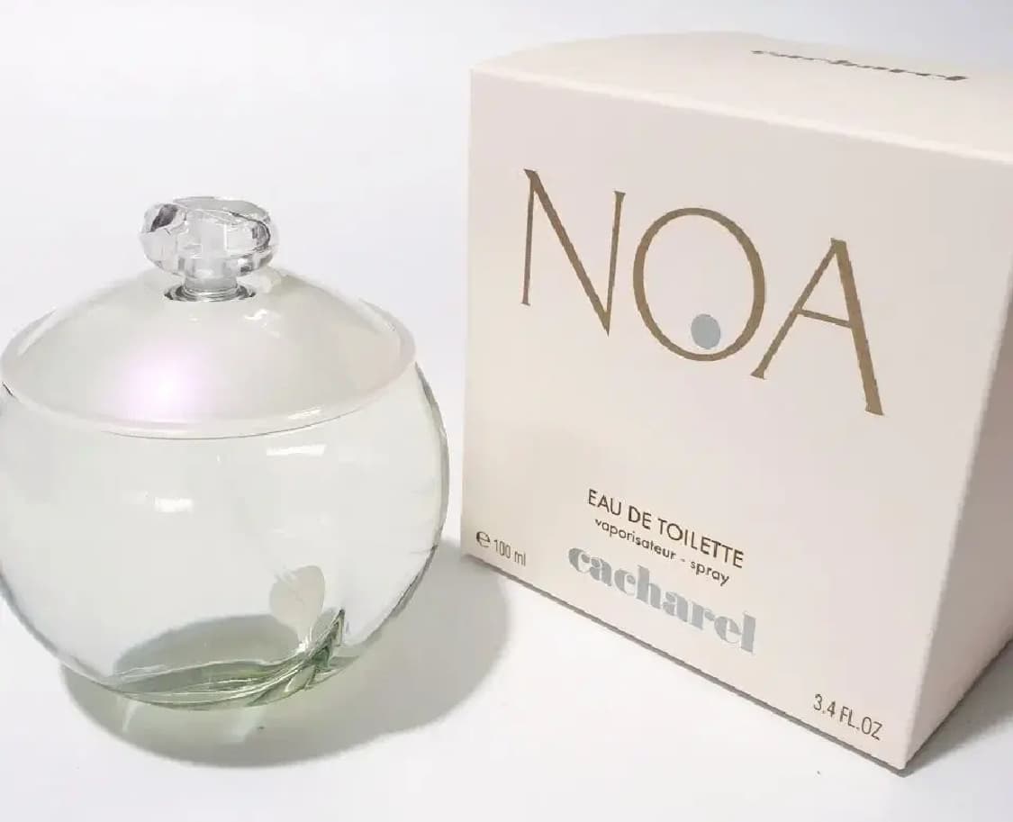 까사렐 노아 EDT 100ml 상품이미지2