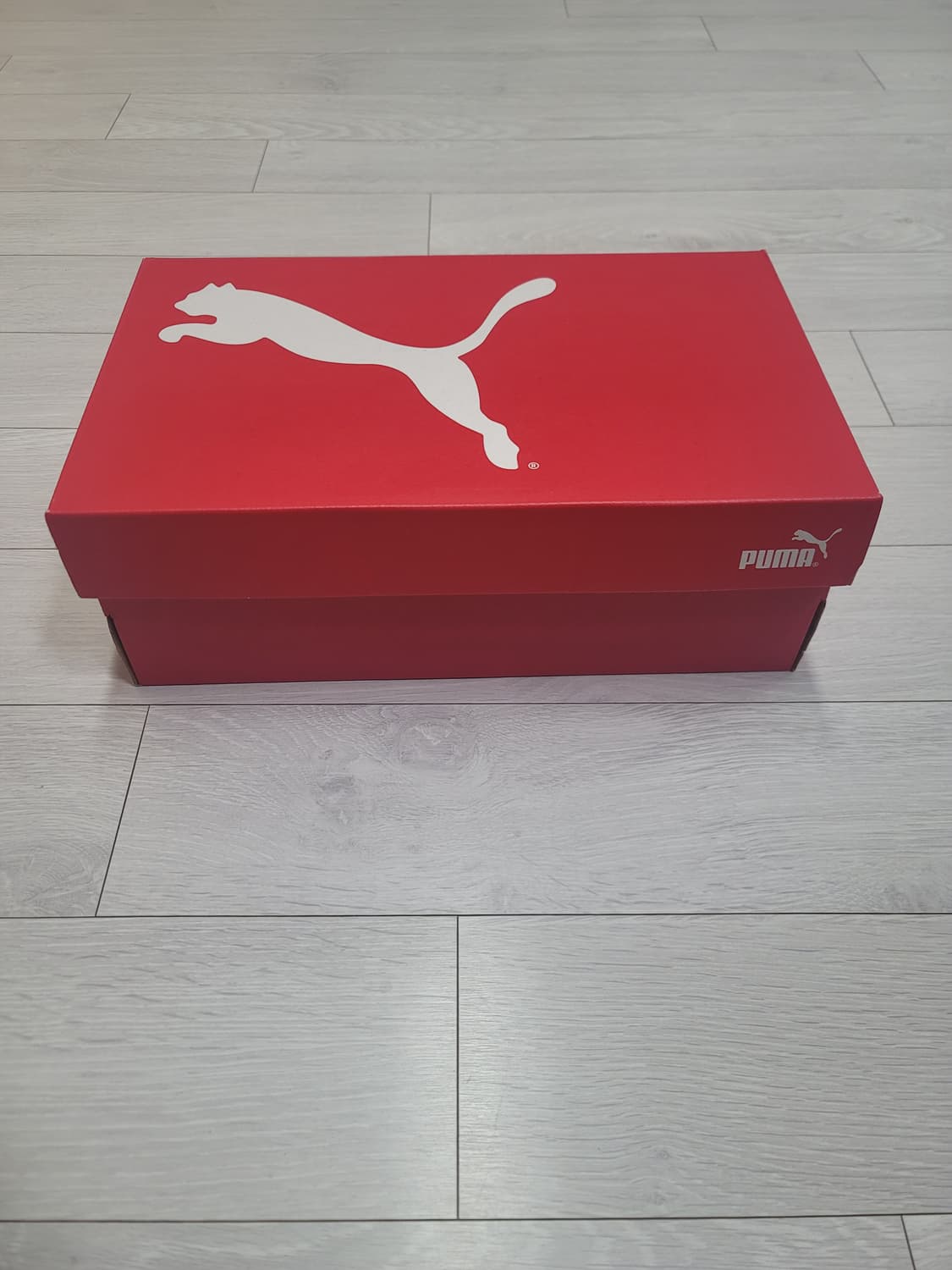 (240)푸마 풋살화 아타칸토 FG/AG Jr.[대전 직거래도 가능] 상품이미지2