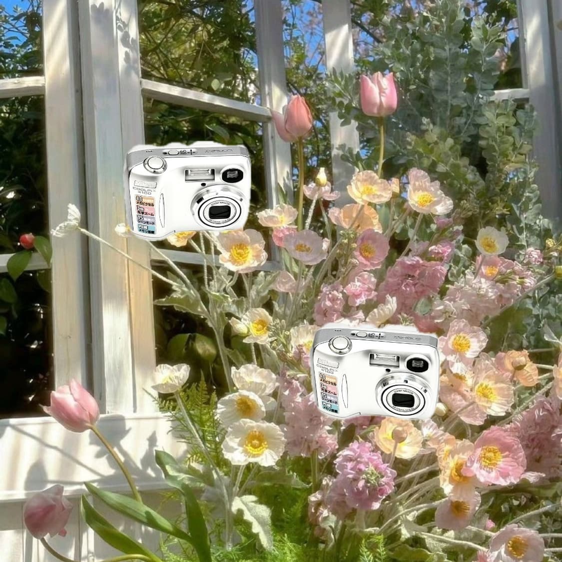 입문&강추!) Nikon Coolpix 4100 디카 카메라 상품이미지1