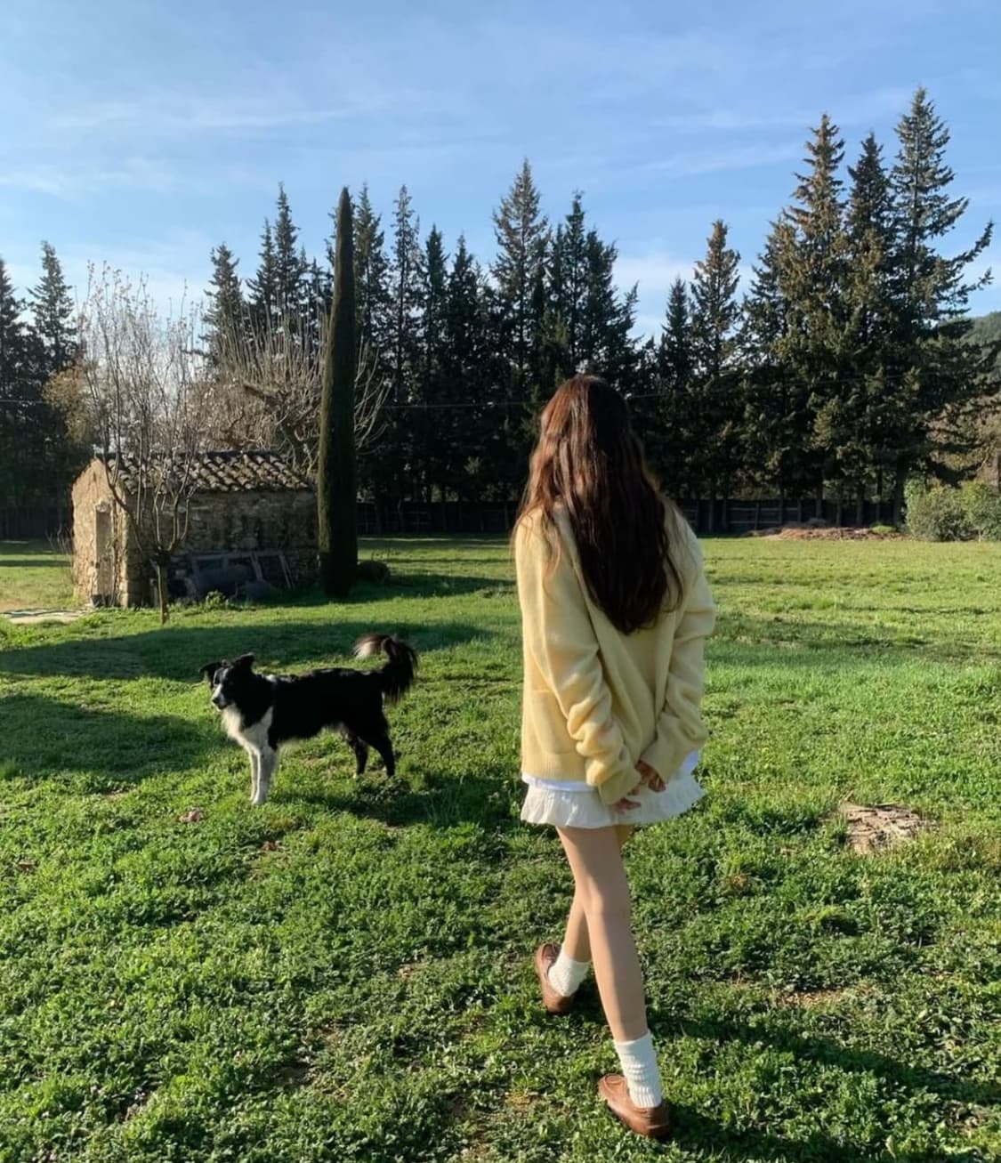 더바넷 가디거Yellow Saddle Shaggy Dog Cardigan 상품이미지5