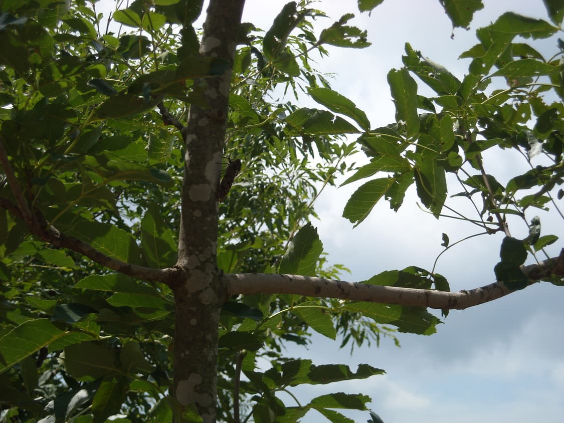 후지필름 파인픽스 finepix z10 디카 (빈티지 카메라) 상품이미지9