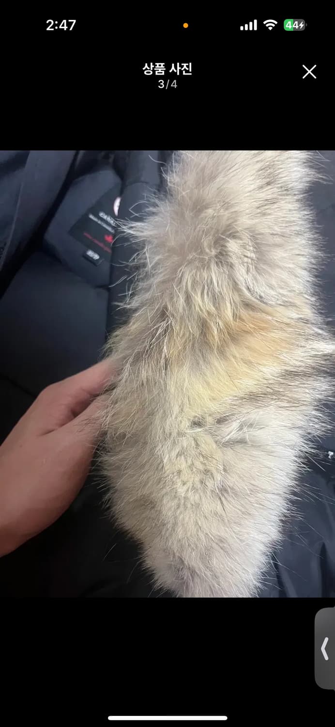 캐나다구스 칠리왁 상품이미지3