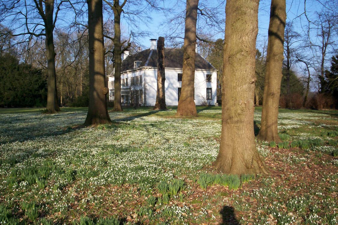 Kodak EasyShare C310 상품이미지9