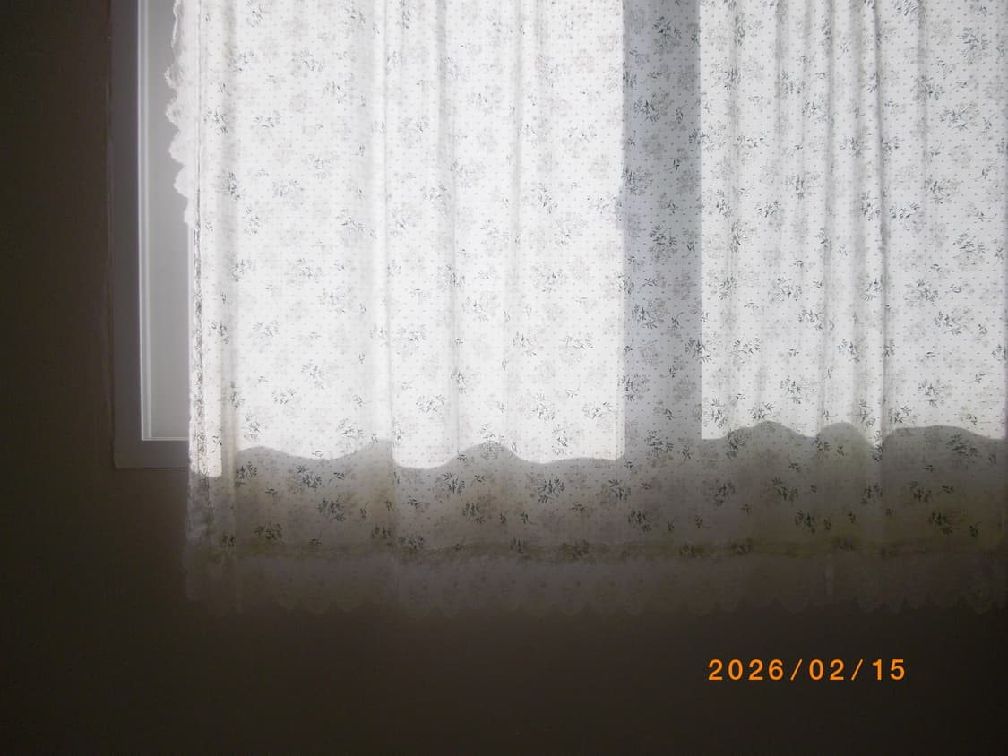 아이브 레이 카메라 펜탁스 옵티오 RS1000 작례o 상품이미지9