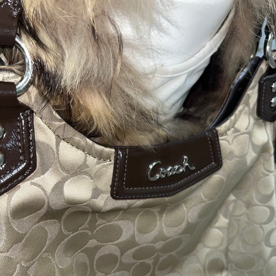 Coach 상품이미지3