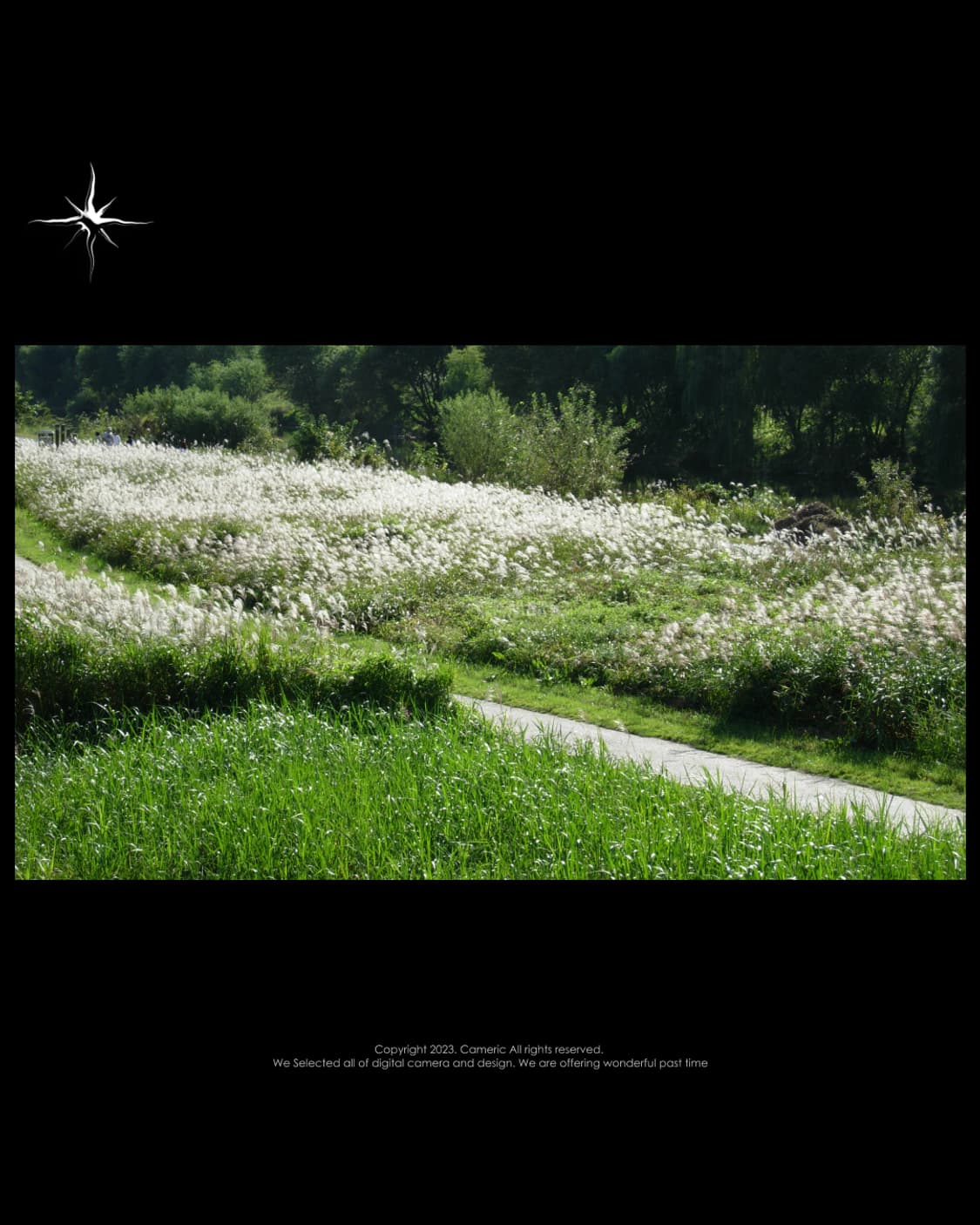 (풀박스/S급) 니콘 Nikon coolpix p4 디카 상품이미지3