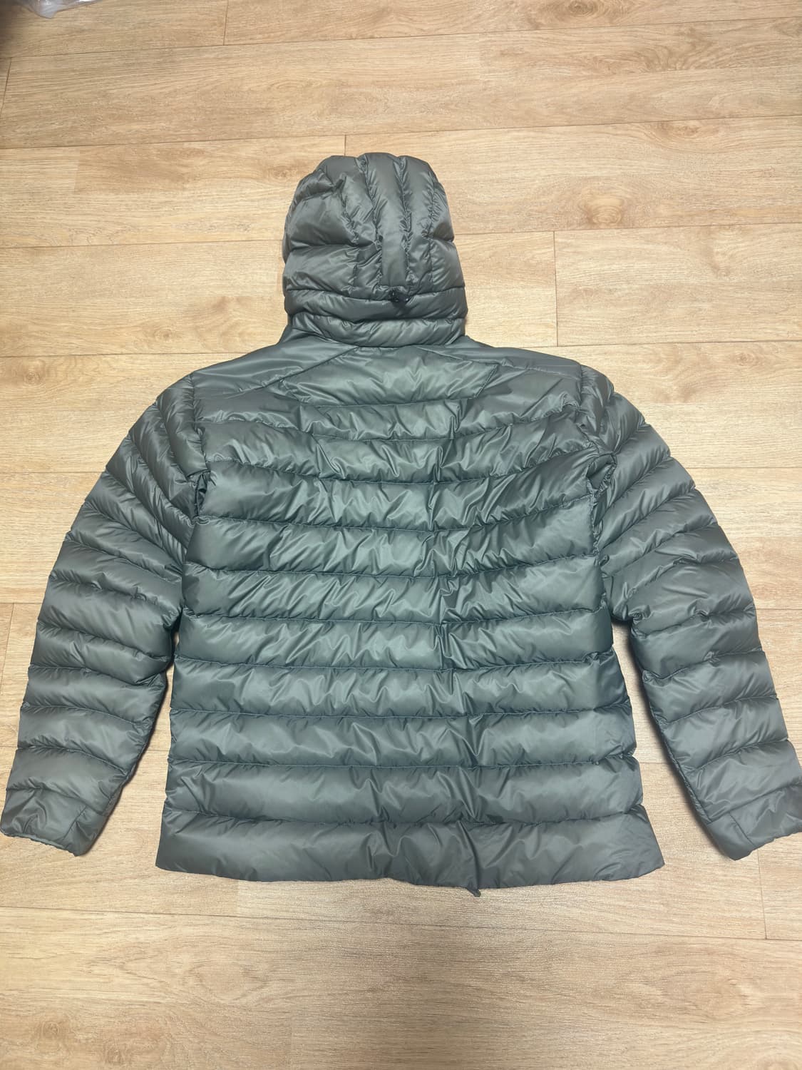 아크테릭스 세륨 후디 포리지 베르베 L 상품이미지8