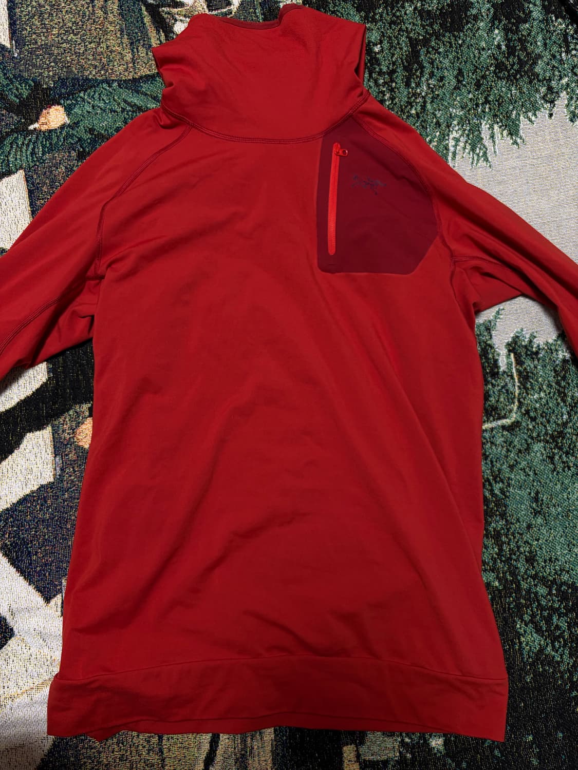 아크테릭스 후디 상품이미지2