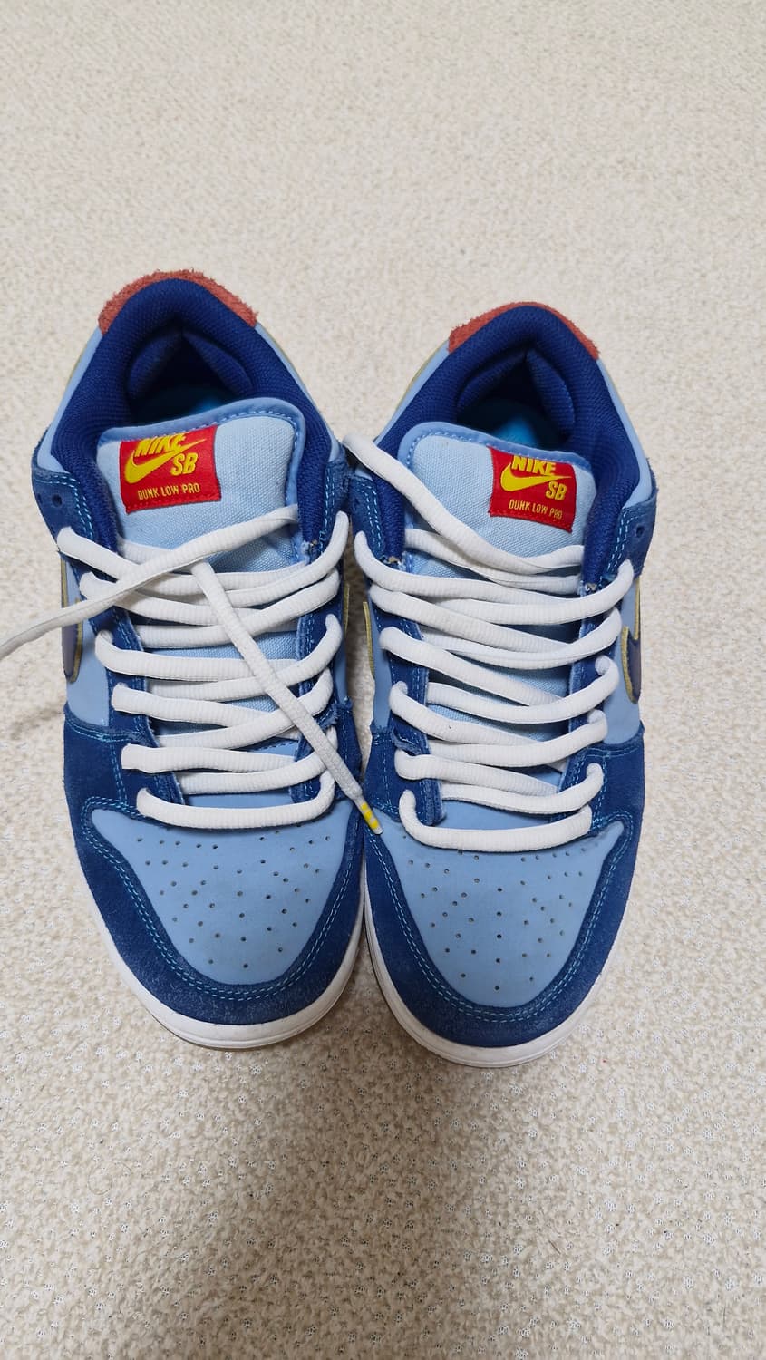 나이키 SB 덩크 로우 프로 블루 260 why not so sad 상품이미지1