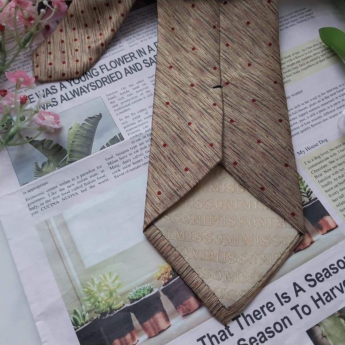 미쏘니 실크 브라운 도트 텍스처 넥타이 8.6cm A+등급 K1798
 상품이미지7