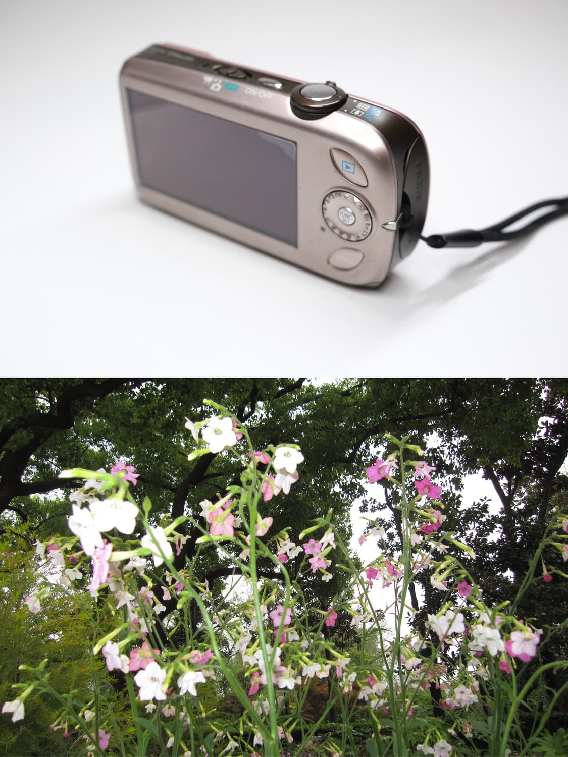 Canon ixus 110is 상품이미지4