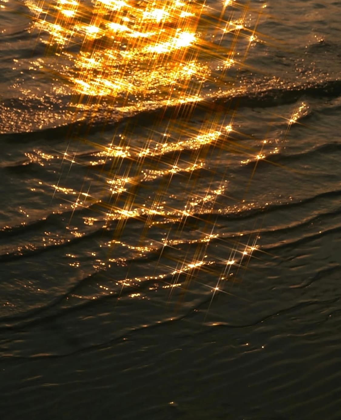 올림푸스 VR-360 핑크 🌸윤슬까지 잡는 감성 만능 디카 상품이미지5