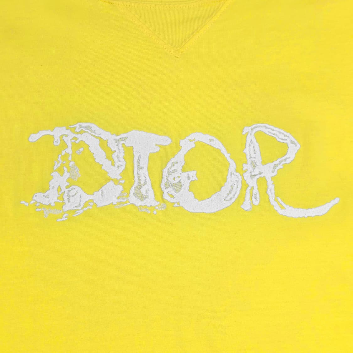 디올 피터도이그 자수 로고 반팔 티셔츠 상품이미지3