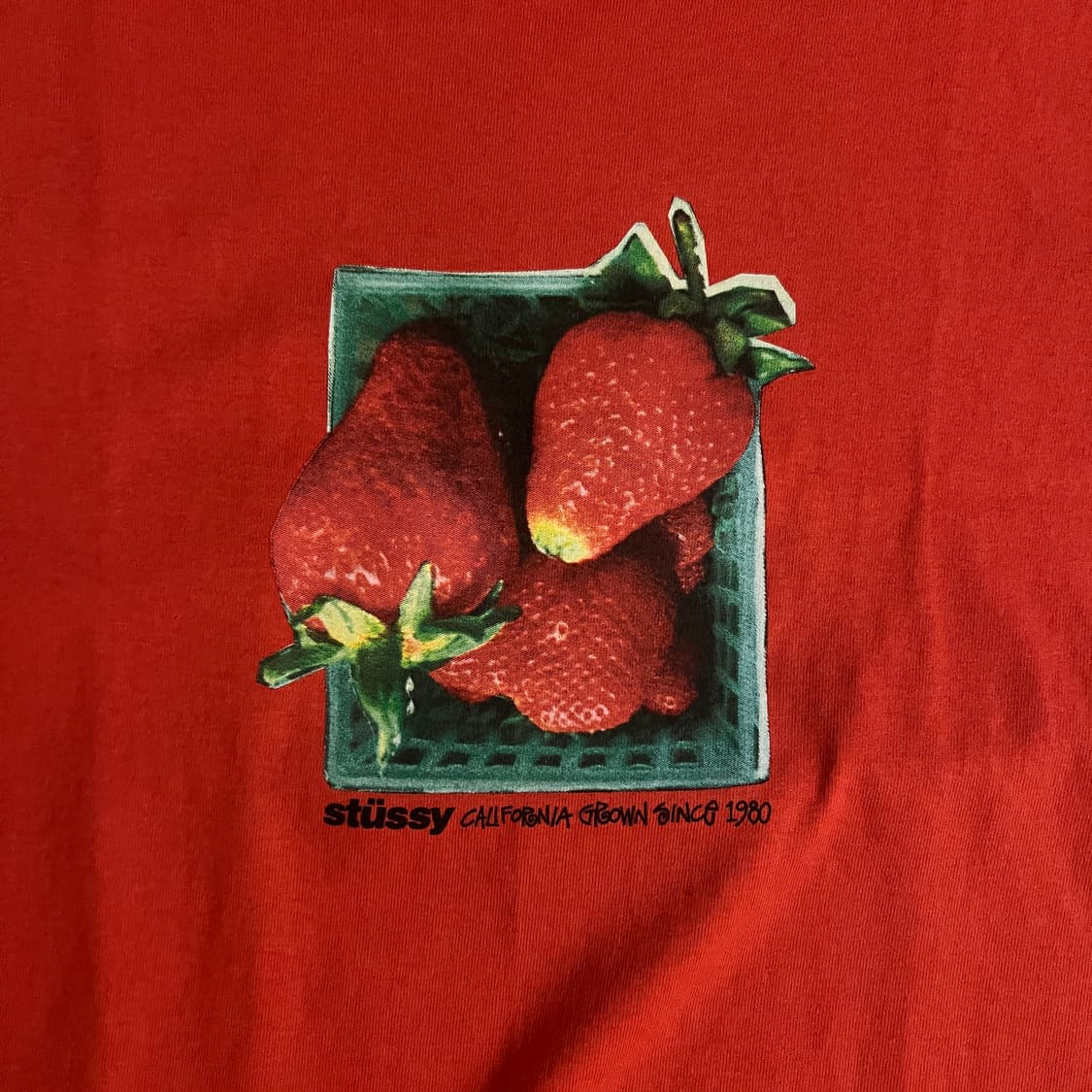 스투시 BERRIES TEE M 상품이미지5