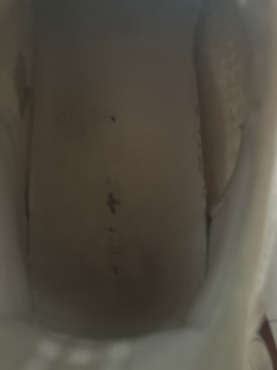 이지부스트 350 상품이미지2