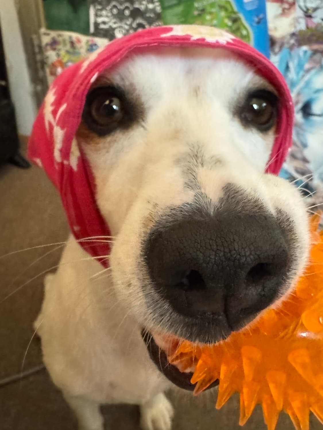 개인결제창💗🩵 상품이미지1