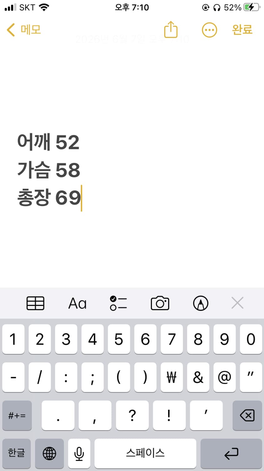 폴로 랄프로렌 카라티셔츠  상품이미지6