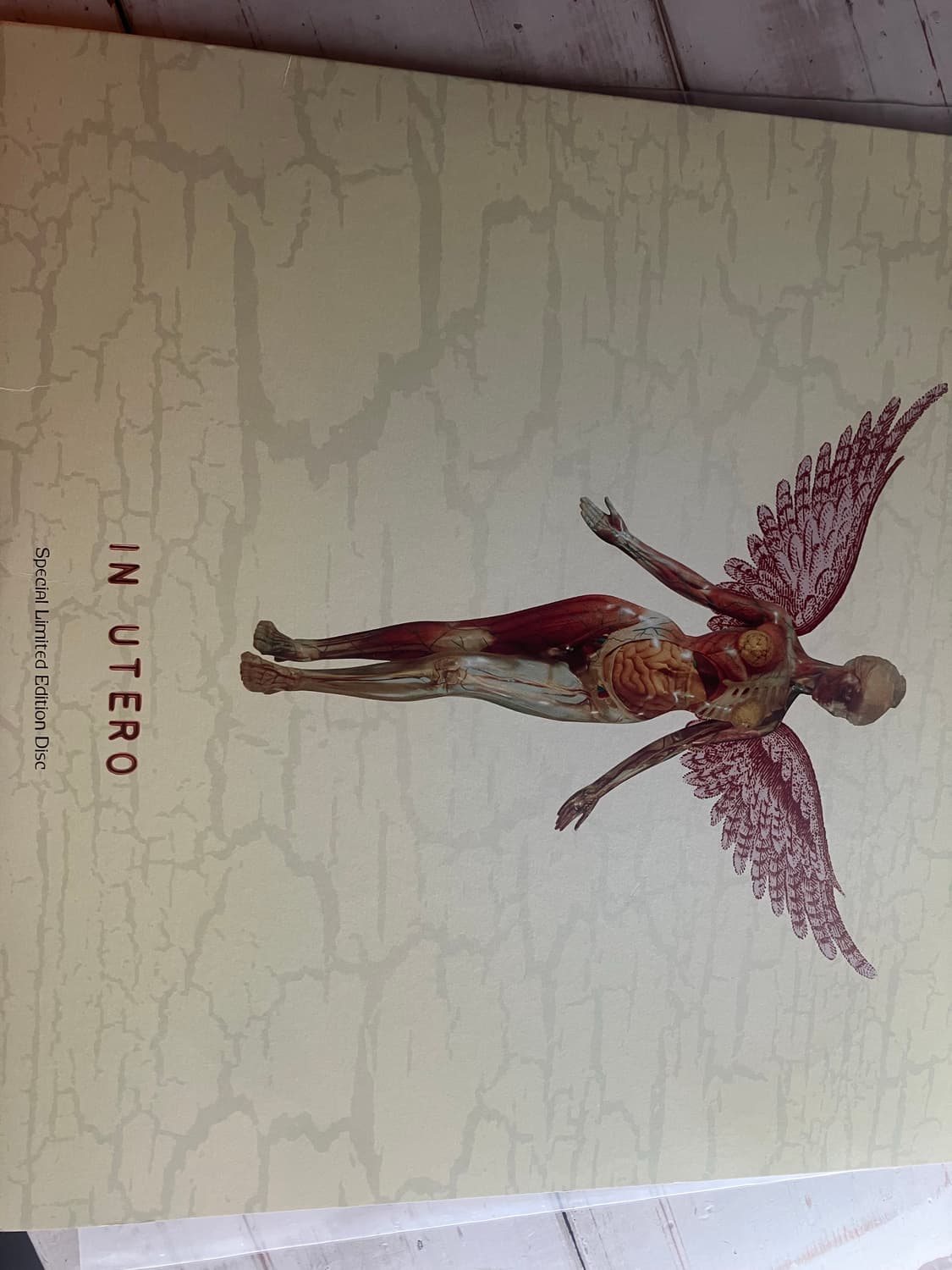 Nirvana In utero LP 1993 오리지널 프레싱 상품이미지1