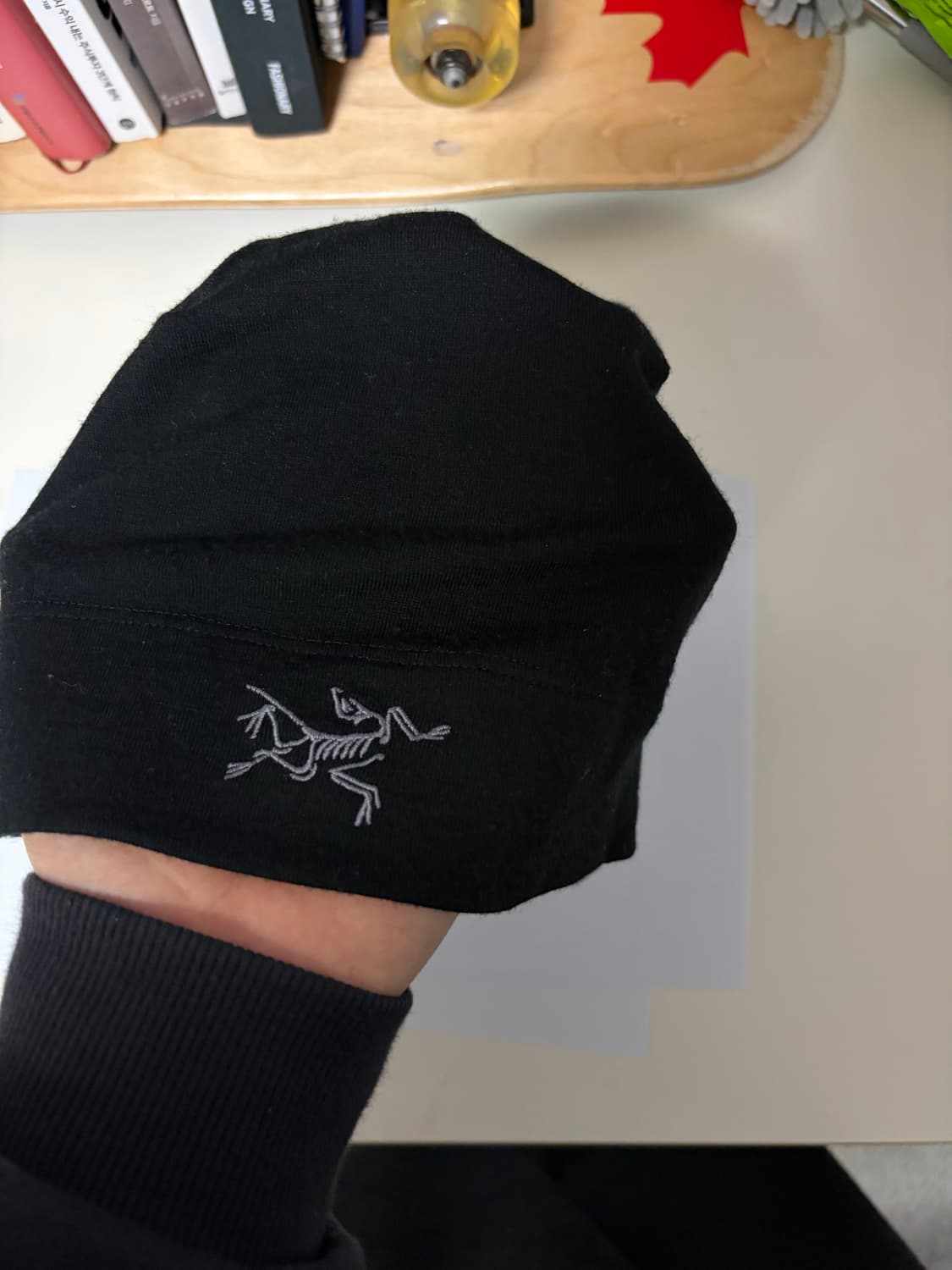 아크테릭스 비니 상품이미지2