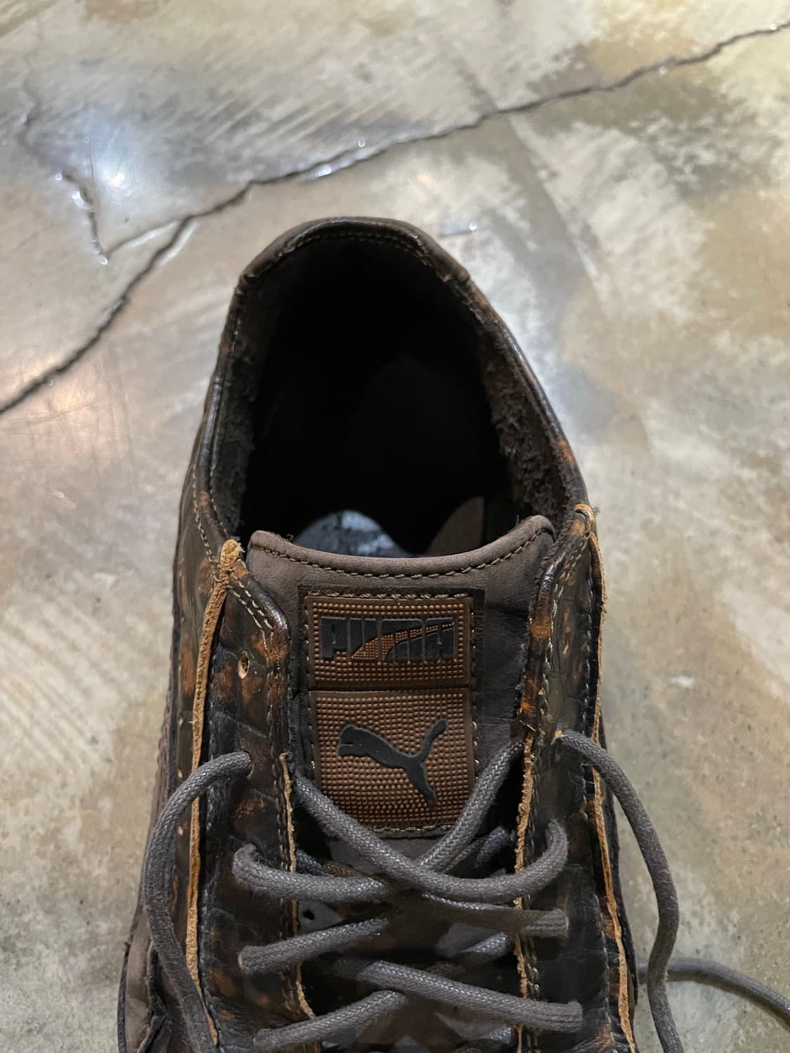 00‘s Puma Basket Evo 상품이미지8