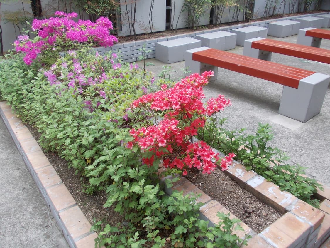 (작동,작례O) 니콘 쿨픽스L23 상품이미지6