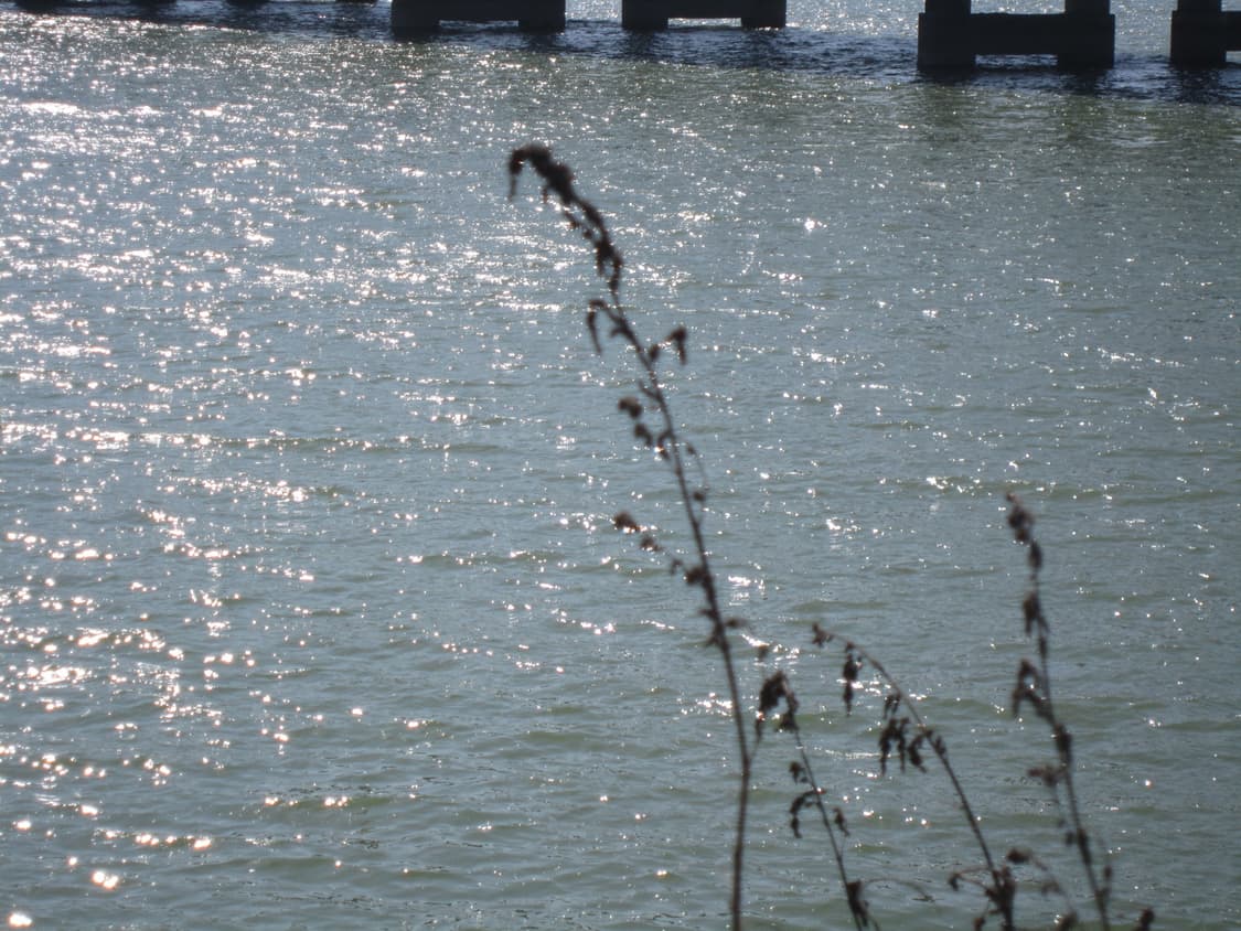 레어✧･ﾟCanon ixus 210 / ixy 10s 캐논 익서스 상품이미지2