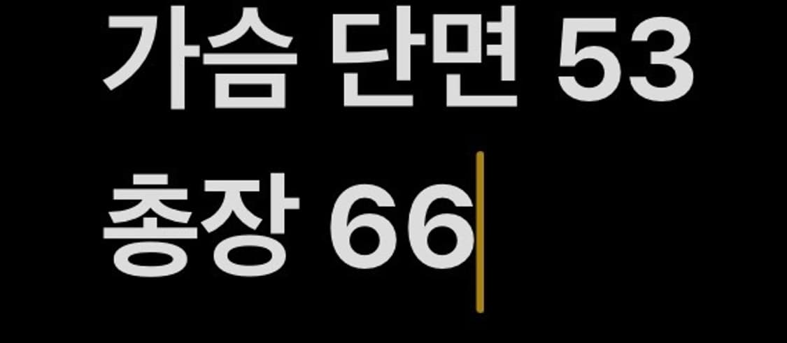 [정품/M] 아디다스 슈퍼스타 파이어버드 트랙탑 져지 그린 b14 상품이미지10