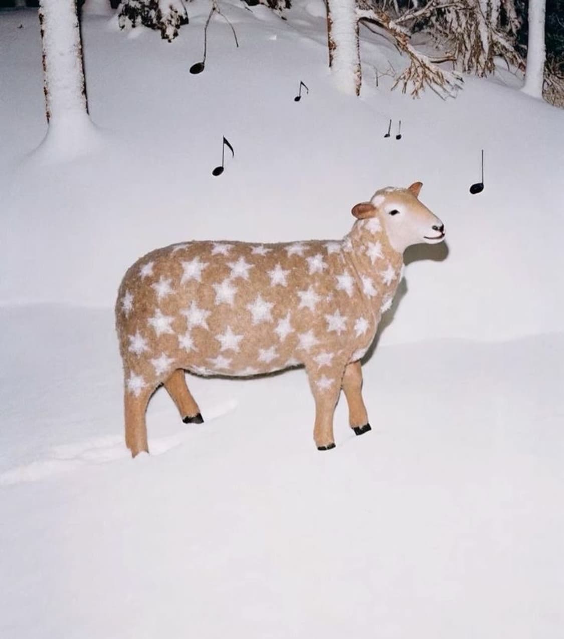 comme des garcons 상품이미지1