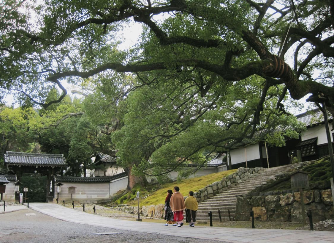 캐논 익서스 Canon IXUS 100 IS 블랙 상품이미지2