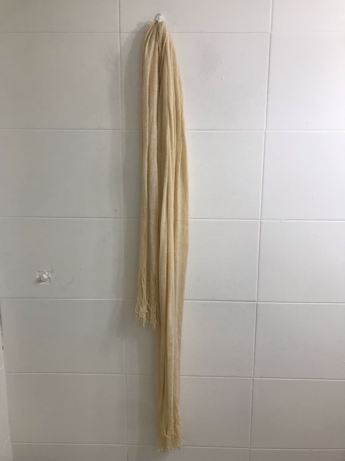 버버리 체크 블라우스 아이보리 니혼진 모리 코디세트 상품이미지6