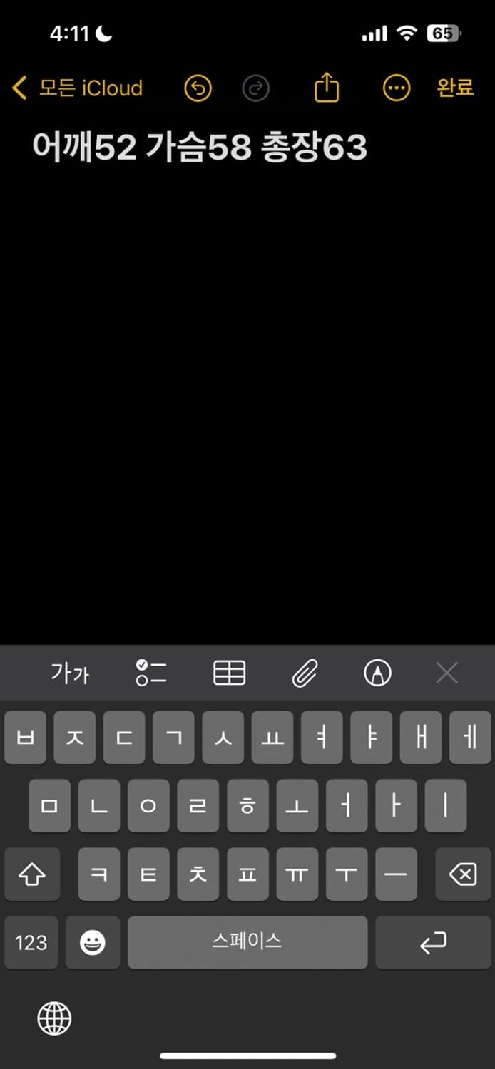 노스페이스 써밋 시리즈 패딩 자켓 상품이미지5